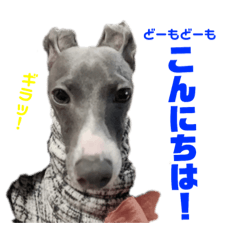 [LINEスタンプ] イタグレのコマツナくんスペシャル！