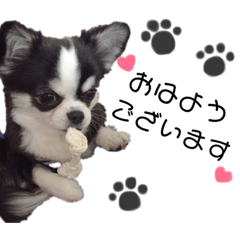 [LINEスタンプ] てん・りむ兄妹スタンプ①