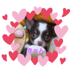 [LINEスタンプ] チョコたんのスタンプ パート2