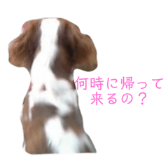 [LINEスタンプ] casval＆luire