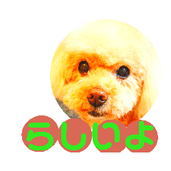 [LINEスタンプ] おしゃべりプ～イ
