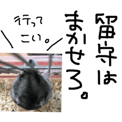 [LINEスタンプ] ハムすたンプ その③(ときどき丁寧編)