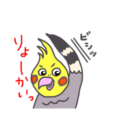 [LINEスタンプ] オカメインコの世界です。