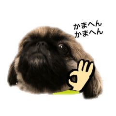 [LINEスタンプ] うちのマル2