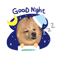 [LINEスタンプ] うちのいぬ みる