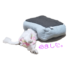 [LINEスタンプ] ゆうちゃんのひとこと