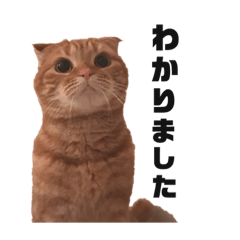 [LINEスタンプ] tantomile2