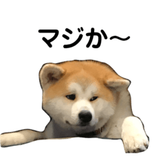 [LINEスタンプ] まっちゃんマン5