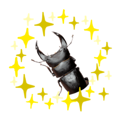 [LINEスタンプ] ビノデュロサスオオクワガタ