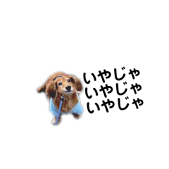 [LINEスタンプ] チョッパー1