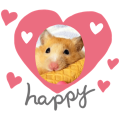 [LINEスタンプ] チップ＆ティニー＆ティノ♡