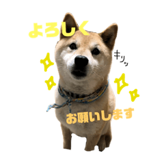 [LINEスタンプ] おはぎくん日常Ver.