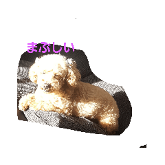 [LINEスタンプ] さらちゃんw