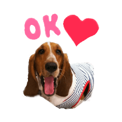 [LINEスタンプ] バセットハウンド・シェリーちゃん その2