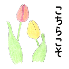 [LINEスタンプ] 花と丁寧なメッセージ 1