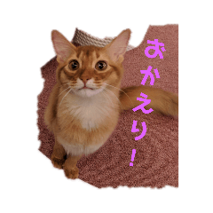 [LINEスタンプ] ZOO 2018-4Q