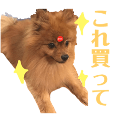 [LINEスタンプ] モコのわがまま