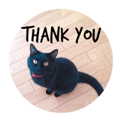 [LINEスタンプ] 黒猫ミー 