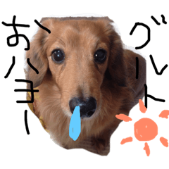 [LINEスタンプ] わん だふる fetchpriority=high