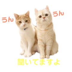 [LINEスタンプ] 諭吉と佐助のすたんぷ