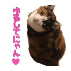 [LINEスタンプ] ふわぽよ*みぃちゃん