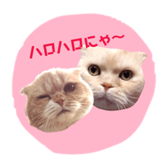 [LINEスタンプ] ジルとブルボン  日常編