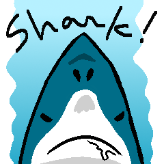 [LINEスタンプ] なんかサメの画像（メイン）