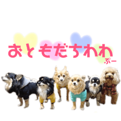 [LINEスタンプ] チワワ＆プードル