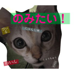 [LINEスタンプ] gege スタンプ02 