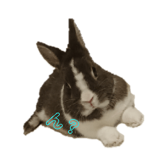 [LINEスタンプ] みみとむむのきもち 