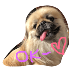 [LINEスタンプ] ペキニーズのモンスニちゃん