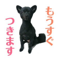 [LINEスタンプ] ぼあは