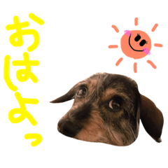 [LINEスタンプ] ろーずちゃんスタンプ