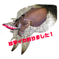 [LINEスタンプ] 魚釣りスタンプ