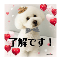 [LINEスタンプ] まる子と仲間たち stamp