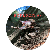 Beetleスタンプ(カブトムシ)
