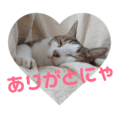 [LINEスタンプ] メイ・ユニ・ララ 