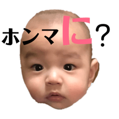 [LINEスタンプ] ココたん日常
