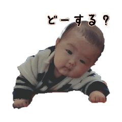 [LINEスタンプ] けいと スタンプ