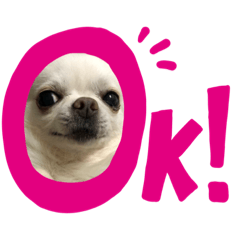 [LINEスタンプ] ワンダフルな毎日2