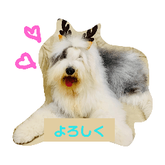 [LINEスタンプ] バーニーくんの日常スタンプ