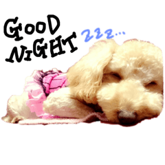 [LINEスタンプ] 我が家の★愛犬スタンプ
