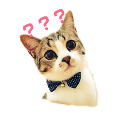 [LINEスタンプ] わさびスタンプ 日常