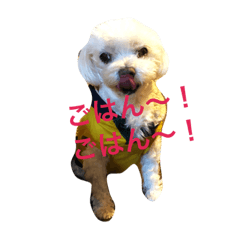 [LINEスタンプ] しろいぬくん！