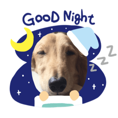 [LINEスタンプ] ヴィトン