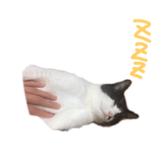 [LINEスタンプ] まりごんと、ログもこ