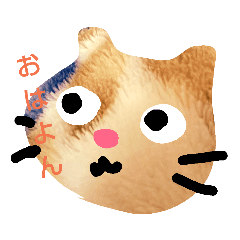 [LINEスタンプ] モコモコにゃんこ