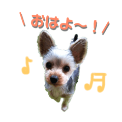 [LINEスタンプ] ほんわかナナちゃんスタンプ