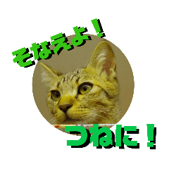 [LINEスタンプ] 猫の対義語