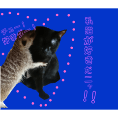 [LINEスタンプ] 可愛い動物スタンプ！ 